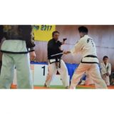 2017.2018.2019 寺島師範演武