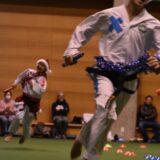 今年もやります🥳ドリームカーニバル‼️